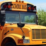 School Buses